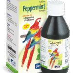 Peppermint Syrup (00347.0006)120ML